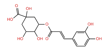 3-Caffeoyl-muco-quinic acid